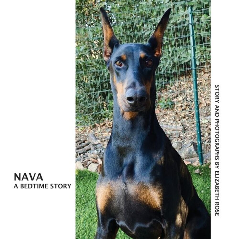 Nava: A Bedtime Story -- Elizabeth Rose